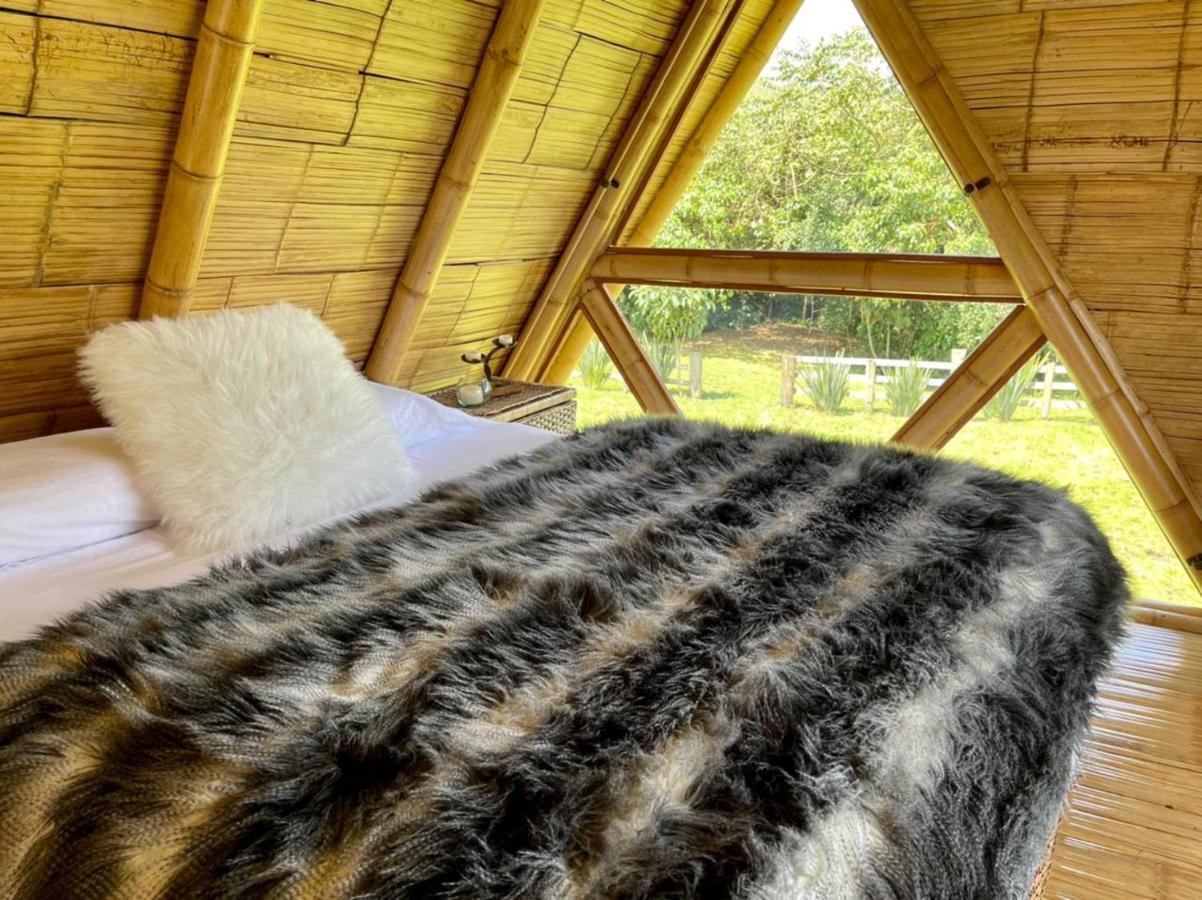 Glamping La Herradura Santa Rosa de Cabal Kültér fotó