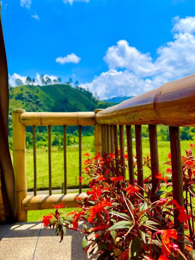 Glamping La Herradura Santa Rosa de Cabal Kültér fotó
