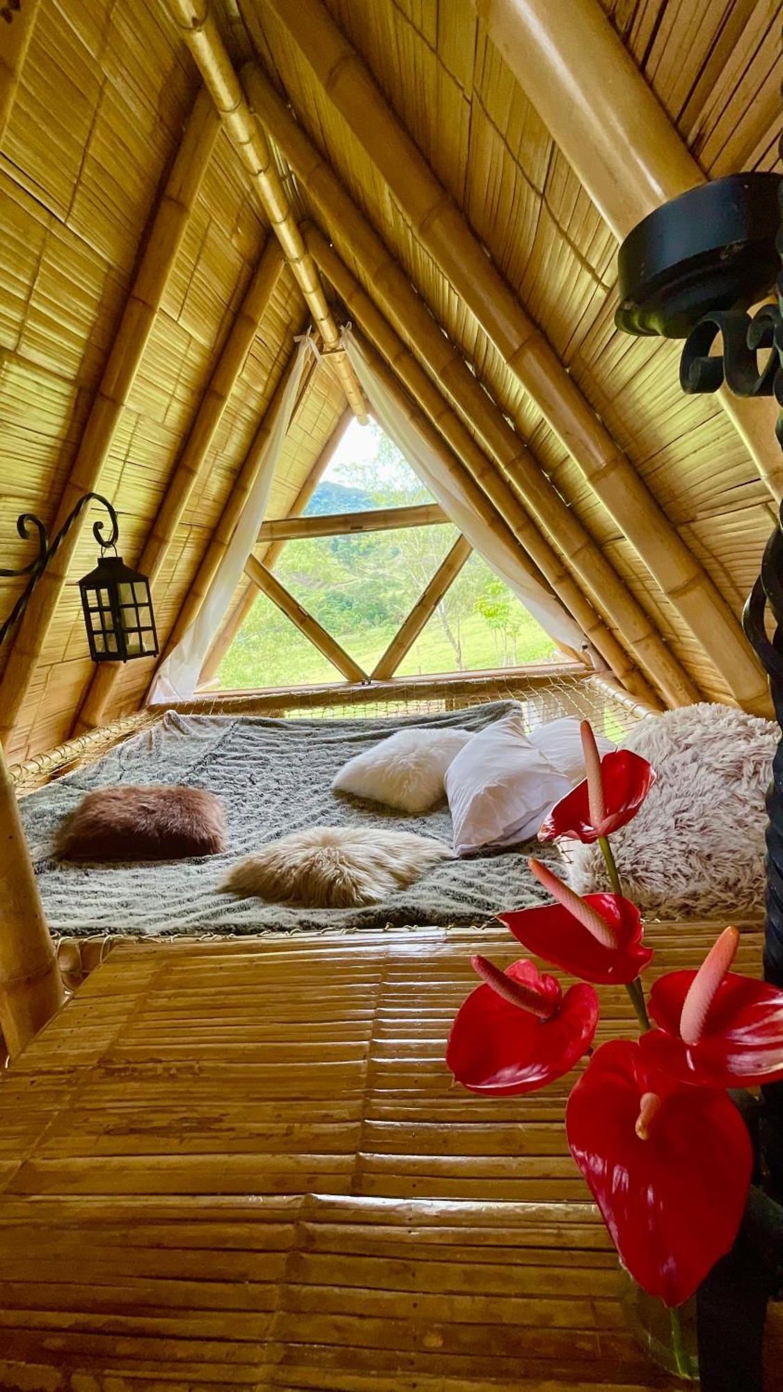 Glamping La Herradura Santa Rosa de Cabal Kültér fotó